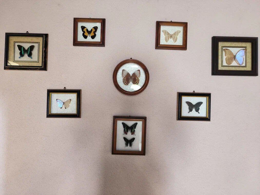 Гостиница Островок Алушта-5