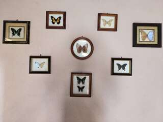 Гостиница Островок Алушта-1