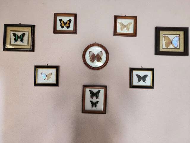 Гостиница Островок Алушта-4